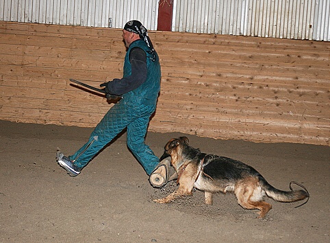 Training in Estonia 3/2007